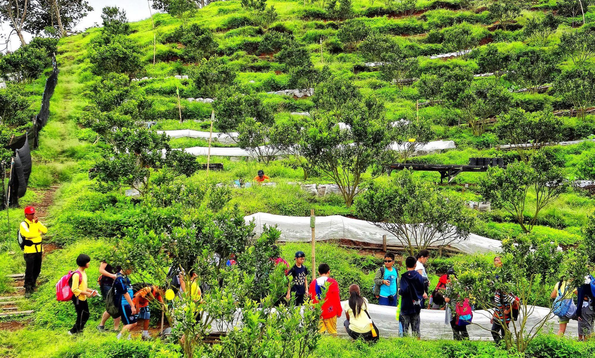 Taman Simalem Resort Tongging Exteriör bild